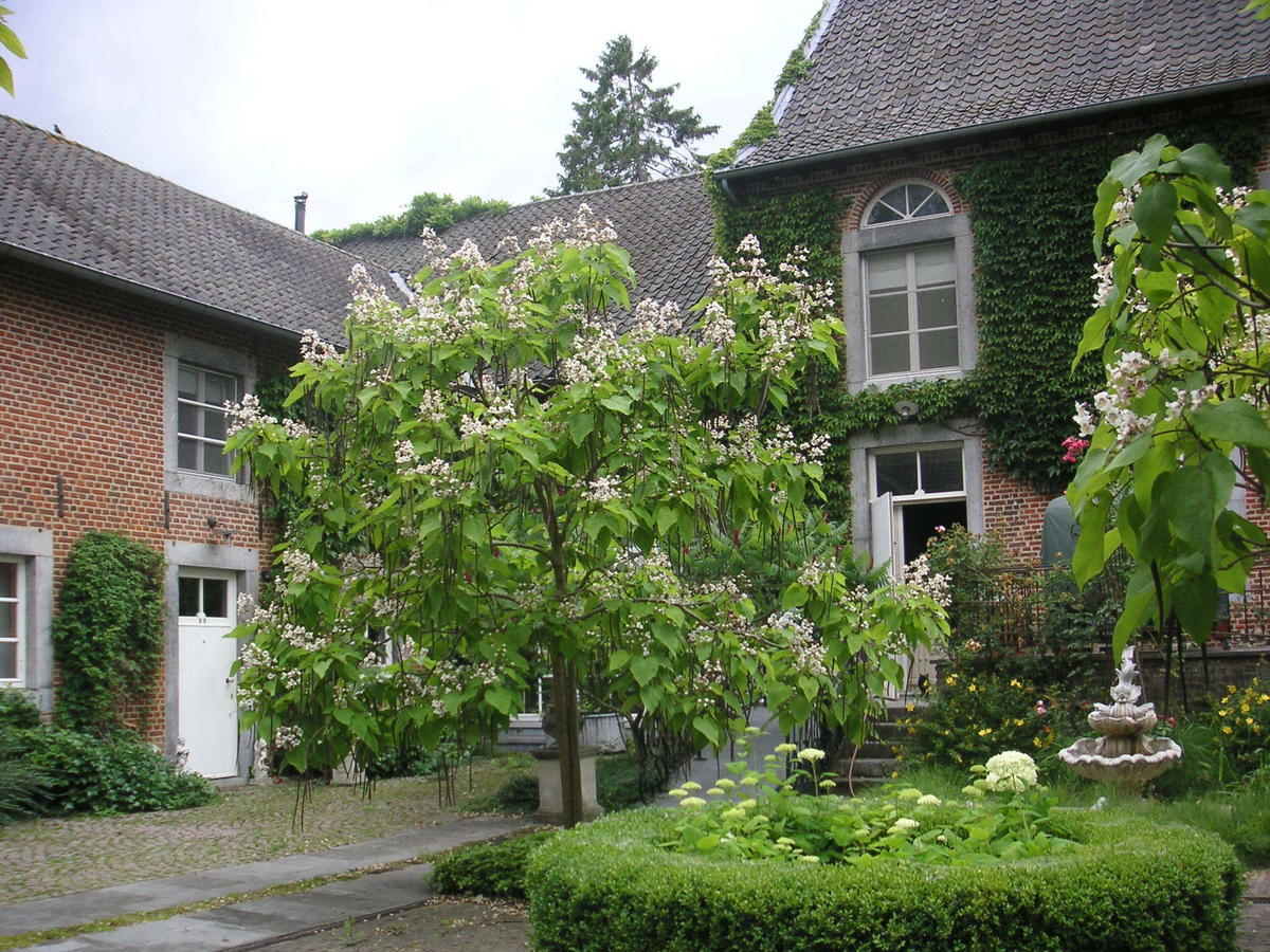 Vakantie Huizen De Heerlijkheid Satenbergh Villa Heers Kültér fotó